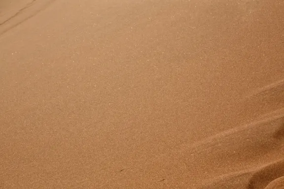 Casino Bingo Millionaire Stuðningur